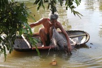 Làng nghề thuyền nan truyền thống ở Hưng Yên:  Vượt vũ môn vào vũ bão
