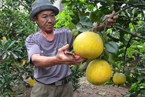Biến nông thôn thành nơi đáng sống