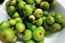 Quả sung trị bệnh