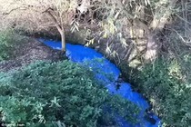 Dòng sông bất ngờ chuyển màu xanh kỳ lạ