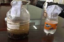 Người nguy kịch, người mất mạng vì chén rượu ngâm