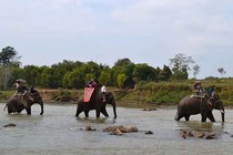Săn voi giữa đại ngàn