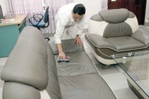 Đừng để sofa thành ổ rệp và vi khuẩn