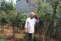 Lao động làm nên cảm hứng để sống vui sống khỏe