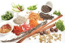 6 bài thuốc Nam chữa mất ngủ