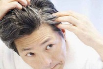 Chữa bạc tóc bằng quả dâu