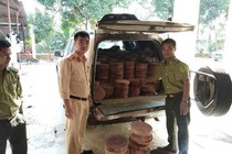Bắt xe tải chở hơn 500 thớt gỗ nghiến