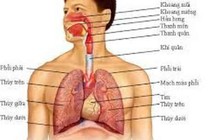 Người lớn có bị viêm đường hô hấp trên?