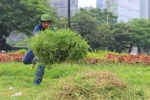 Xe đạp cắt cỏ