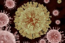 Vi rút Zika có thể giúp cứu sống bệnh nhi u não