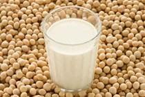 Đậu nành có làm giảm khả năng sinh sản ở nam giới?
