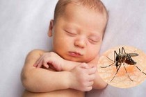 Lo lắng vì con hay bị muỗi đốt mùa sốt xuất huyết