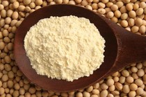 Tự làm bột mầm đậu nành