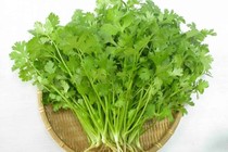 Cây rau mùi trị bệnh