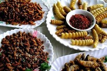 Côn trùng chết dễ sinh độc tố