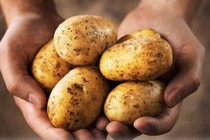 Ăn khoai tây: khi nào để vỏ, gọt vỏ?