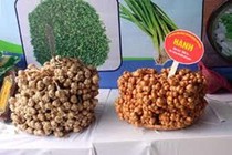 Kiêng kỵ trong ăn uống khi bị đau mắt