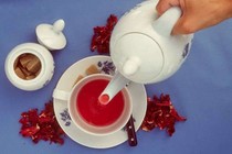 Chọn dùng thảo dược mùa xuân tránh bệnh cho cả năm