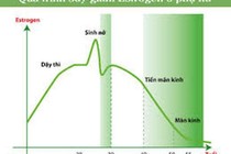 Vai trò của các nội tiết tố sinh sản