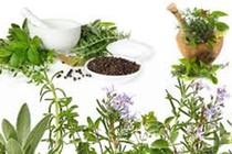 Tự ý điều trị sỏi thận bằng thuốc Nam