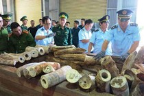 Đà Nẵng: Bắt giữ hơn 9,1 tấn sừng nghi ngà voi 