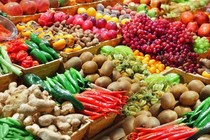 Trung Quốc “siết” chất lượng nông sản Việt