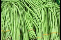Đậu đũa - thực phẩm giúp giảm béo