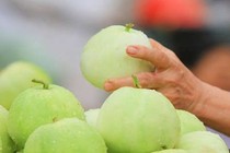 Dưa lê giúp hạ huyết áp