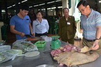 Thiết bị điện di phát hiện thực phẩm bẩn