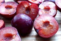 Mận ăn bổ mát chữa miệng khô khát