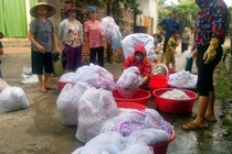 Tẩm hóa chất vào màn diệt côn trùng