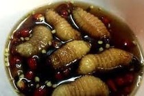 Có bầu không nên ăn côn trùng sống