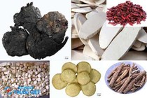 Bài thuốc bổ âm trị lưng đau, gối mỏi, mắt hoa