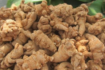 Tam thất chữa đau bụng, kinh ít 