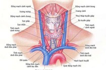 Điều trị đích trong ung thư tuyến giáp