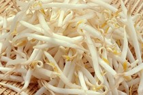 Chọn giá đỗ không hóa chất