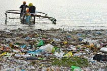 Chế phẩm vi sinh xử lý ô nhiễm chất thải hữu cơ