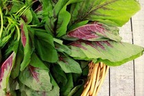  Rau dền giàu sắt