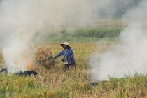 Hà Nội đề xuất cấm đốt rơm rạ