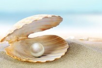 Phân biệt ngọc trai nước mặn và nước ngọt