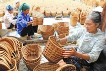 Đào tạo nghề cho lao động nông thôn: Trên 90% lao động có việc làm sau học nghề