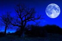 “Bí ẩn” Mặt trăng xanh vào ngày Hallowen