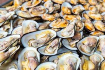 Ăn sò sống cẩn thận viêm gan A