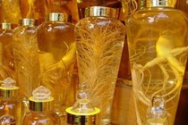 Rượu thuốc vạn bệnh hồi xuân