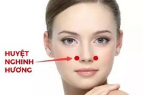 Đông y điều trị viêm mũi, chảy máu cam