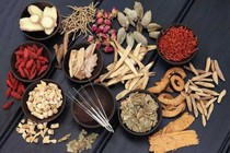 Thuốc chữa 11 bệnh của thận thủy khí suy