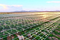 Đất quốc phòng trong Nhà máy điện mặt trời lớn nhất Đông Nam Á của Tập đoàn Xuân Thiện