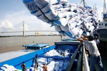Doanh nghiệp xuất khẩu gạo kêu khó