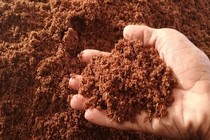 Phân bón, đất sạch từ mụn dừa