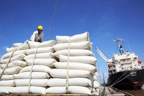 39 doanh nghiệp không xuất khẩu gạo từ tháng 12-2019 đến nay.